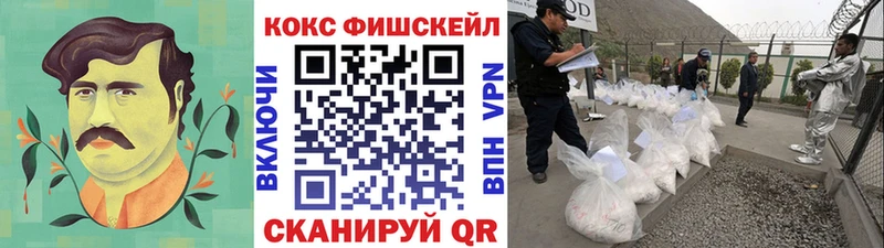 КОКАИН 98%  наркота  Гатчина 