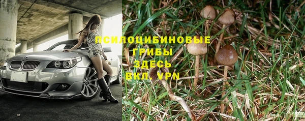 mix Инта
