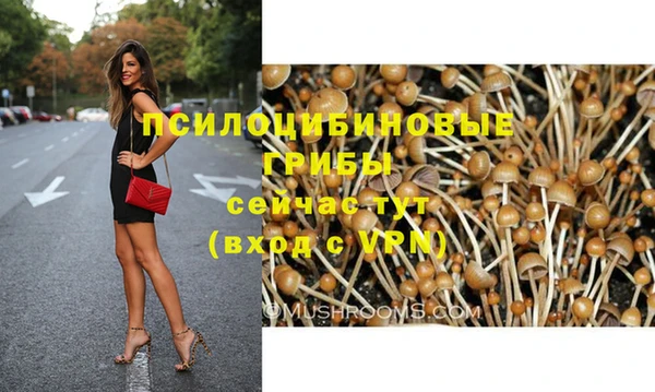 ГАЛЛЮЦИНОГЕННЫЕ ГРИБЫ Верхнеуральск