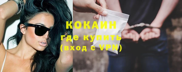 сатива Инсар