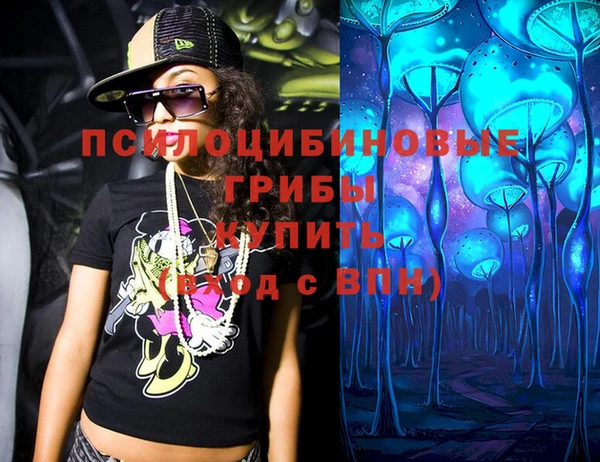 ГАЛЛЮЦИНОГЕННЫЕ ГРИБЫ Верхнеуральск