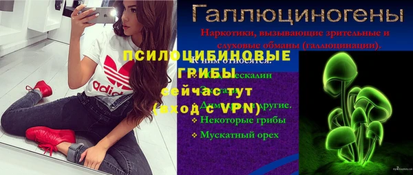 бошки Корсаков