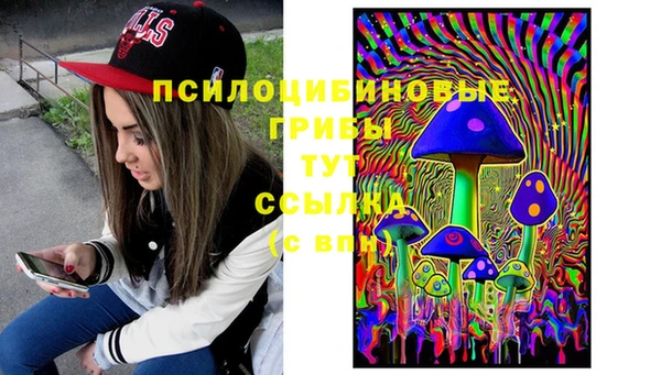 ГАЛЛЮЦИНОГЕННЫЕ ГРИБЫ Верхнеуральск