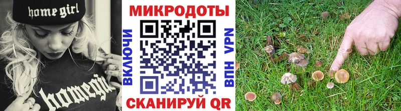Галлюциногенные грибы ЛСД  Гатчина 