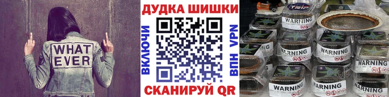 цены наркотик  Гатчина  Канабис конопля 